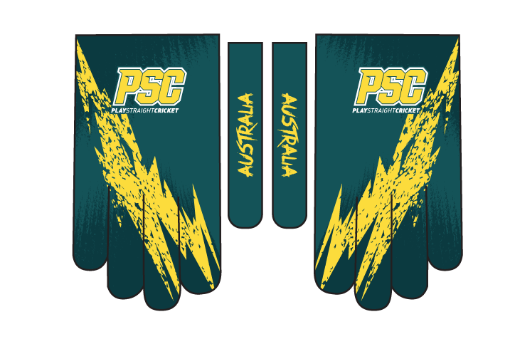 Indoor Cricket Gloves - Premium